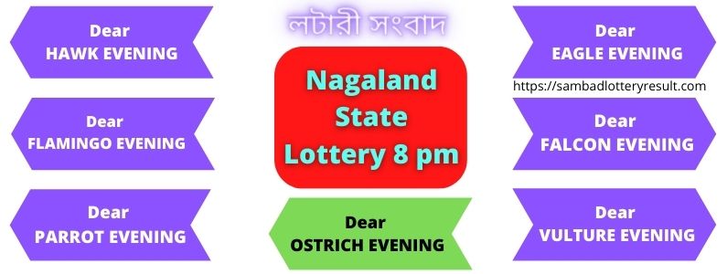 nagaland state lottery 8pm